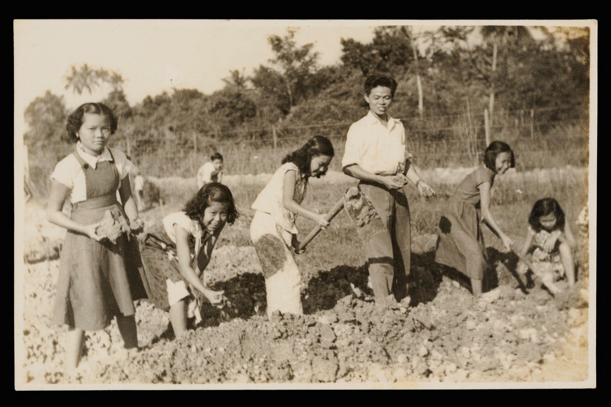 Photograph of Chow Ah Ming as a gardening supervisor at the Lee Kuo Chuan School