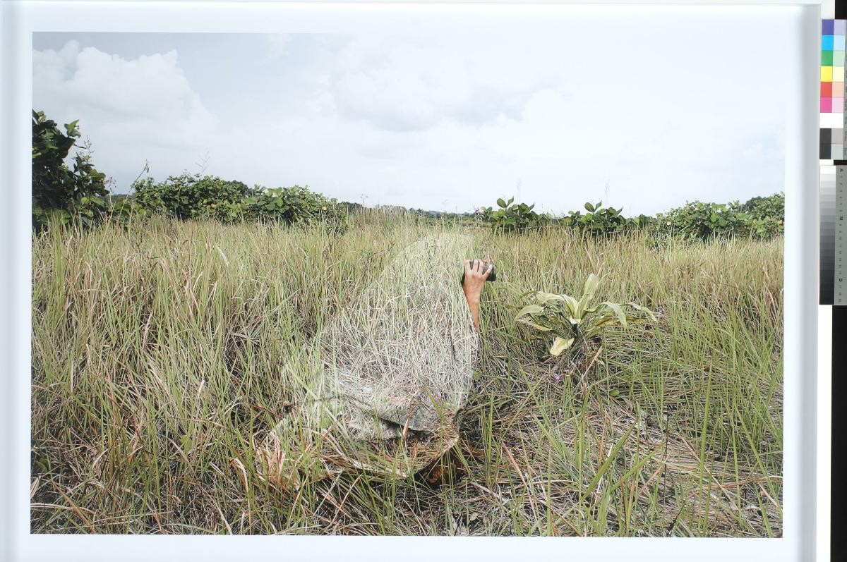 The Blind- Torijon Grasslands II