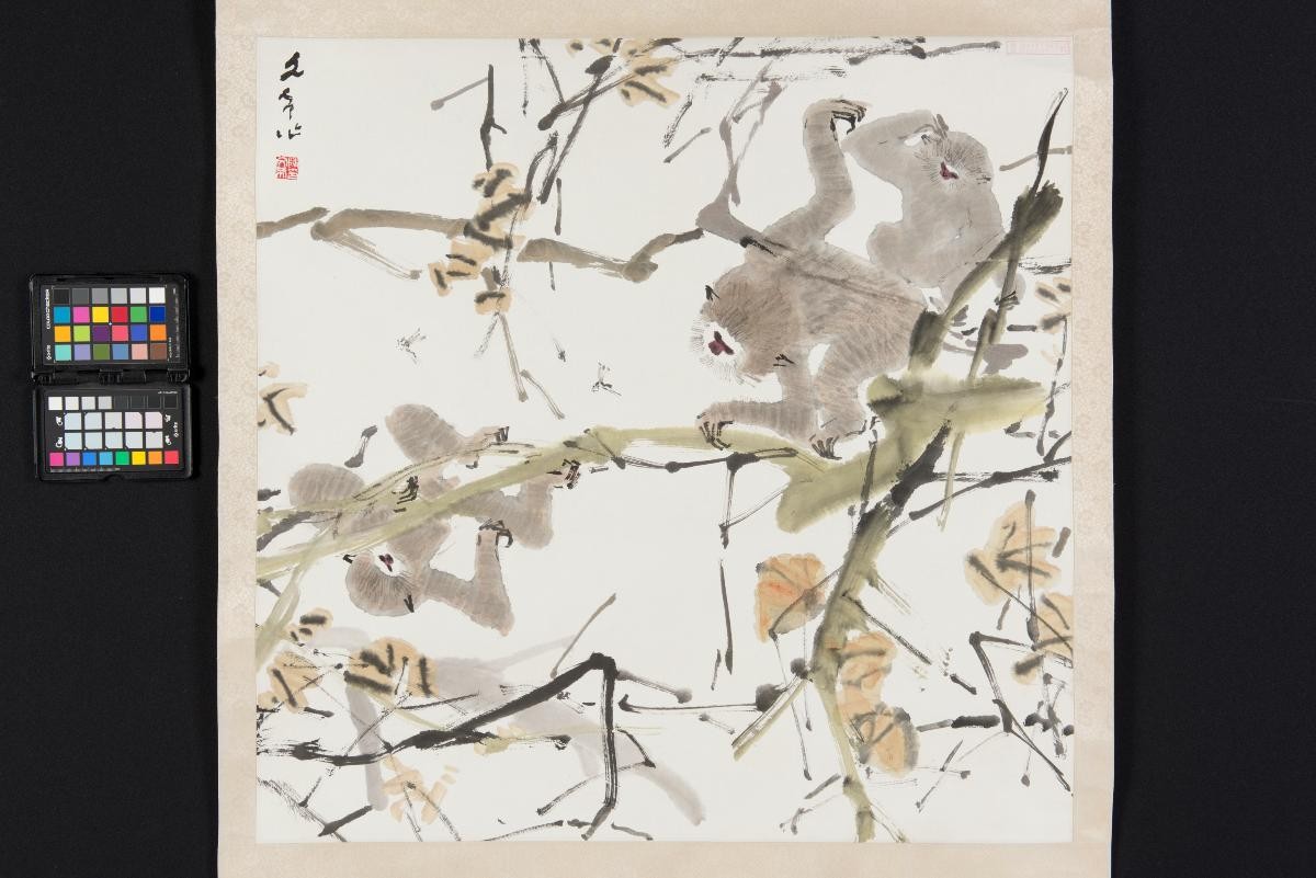 Gibbons