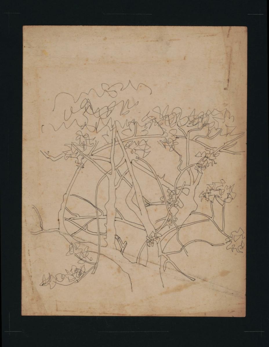 Untitled (Tree with Various Branches)