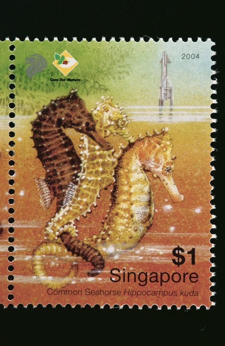 A stamp featuring Chek Jawa’s Common Seahorse