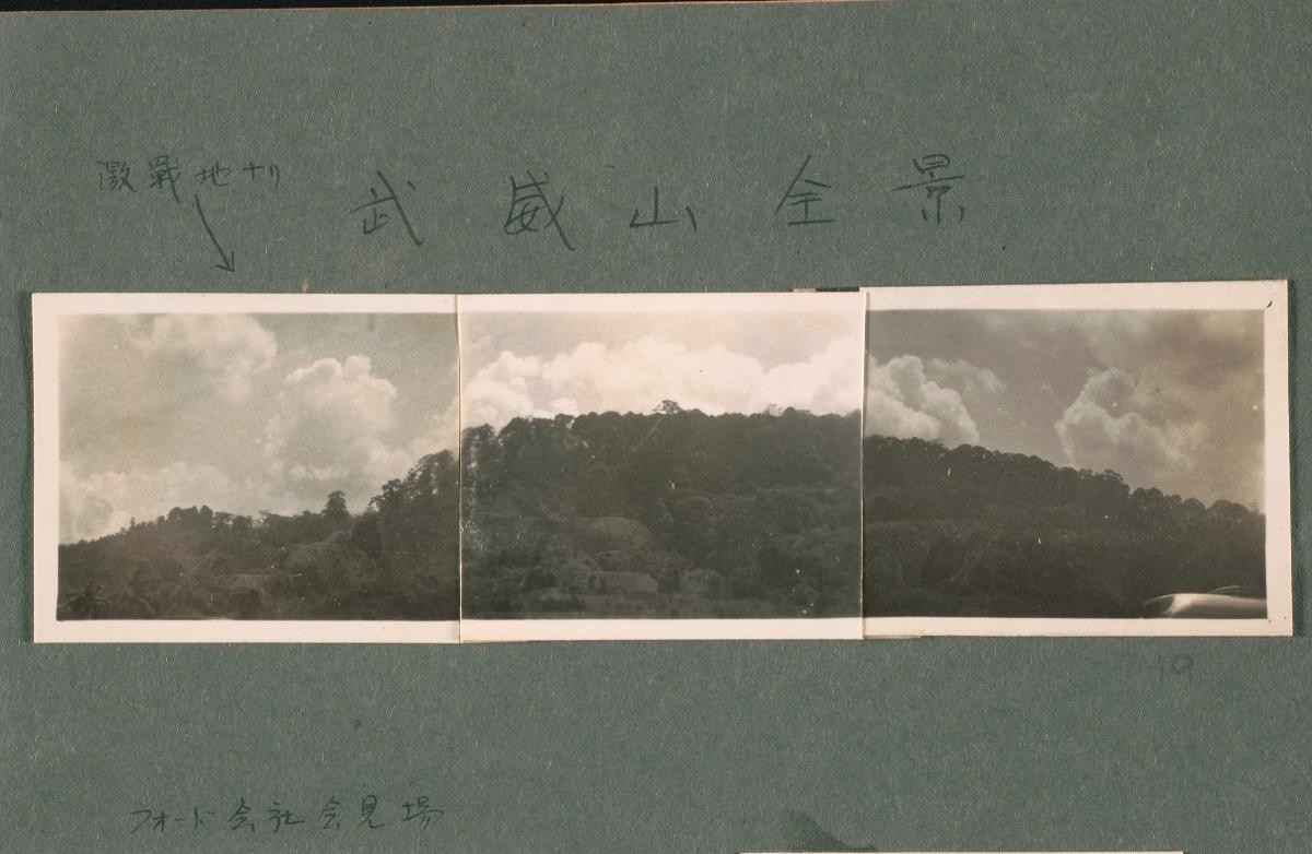Panoramic view
