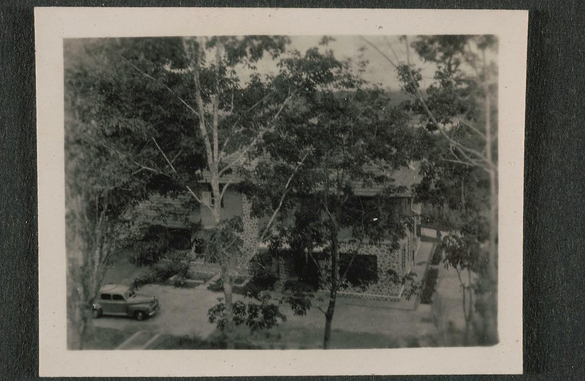 Overhead view of a building in the jungle