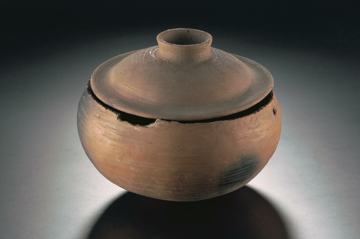 Double pot