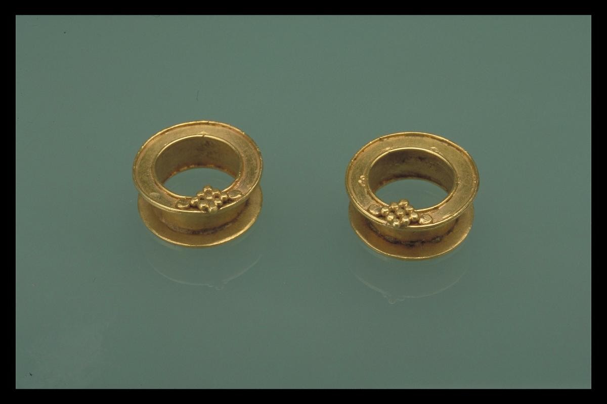 Pair of discal earrings