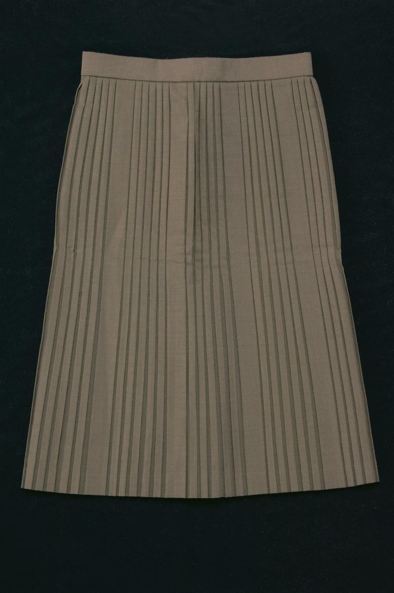 Brown pleated skirt