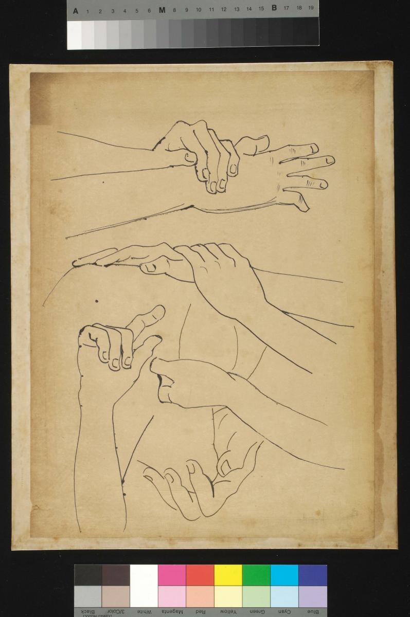 (Untitled) Study of Hands