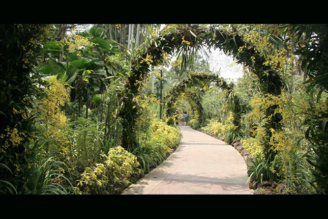 the singapore botanic gardens a living and growing heritage 14