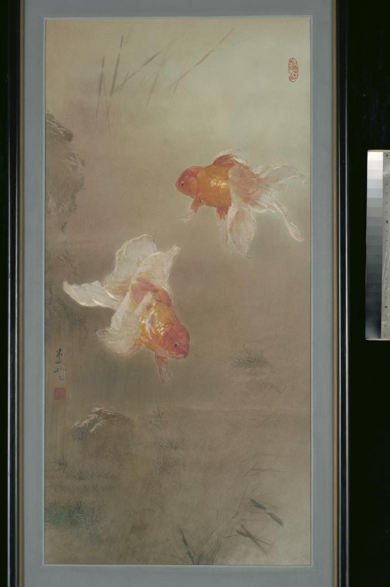 Untitled (2 Goldfishes)