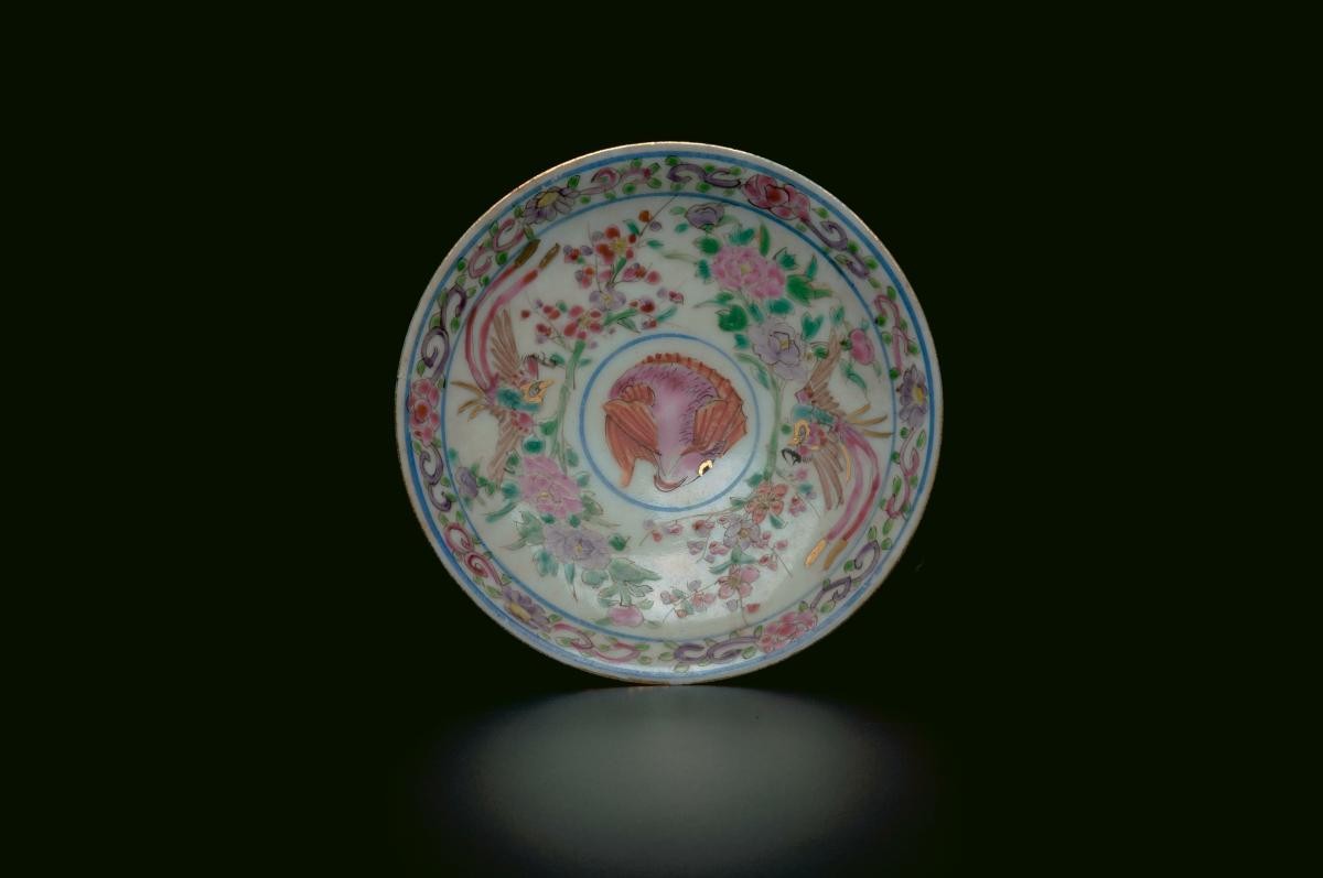 Dish