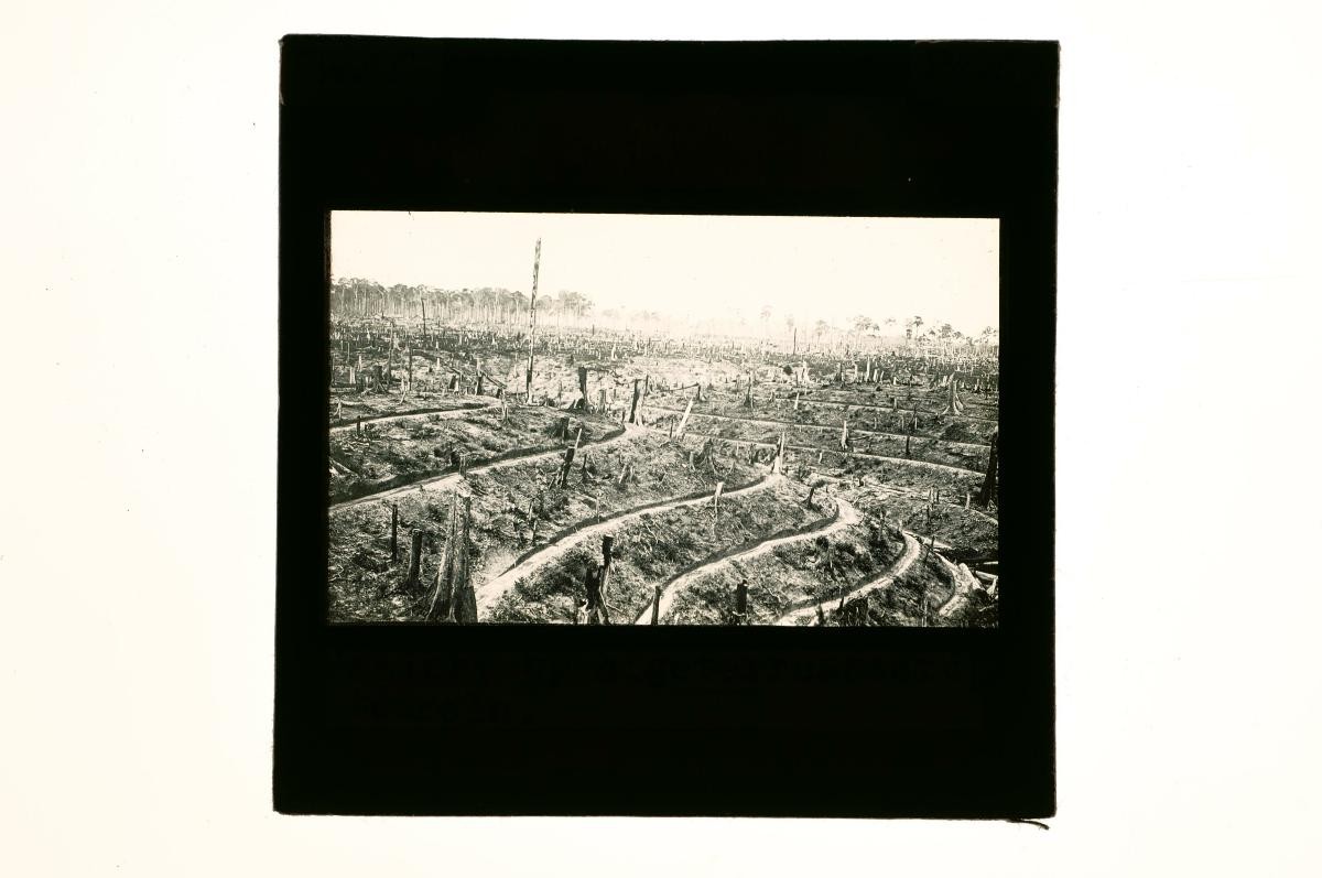 A glass lantern slide depicting a landscape scene