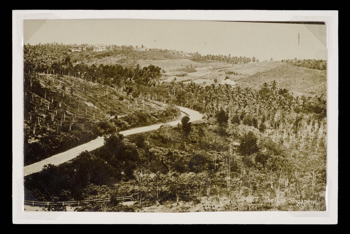 Postcard titled 'The Gap, Singapore'