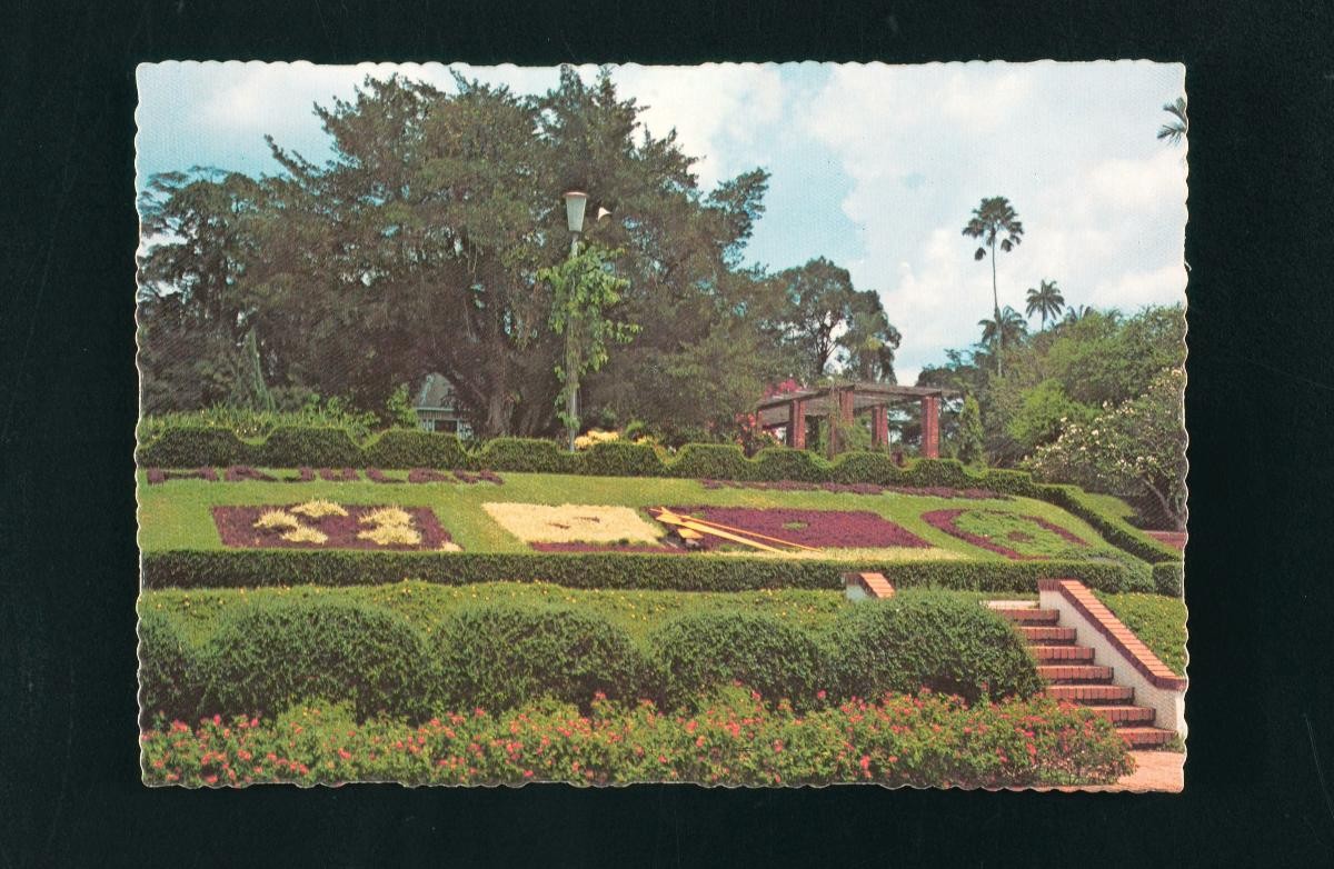 The SIngapore Botanic Gardens