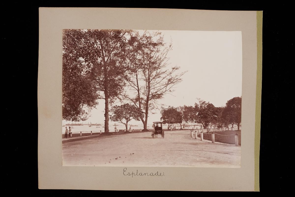 View of the Esplanade