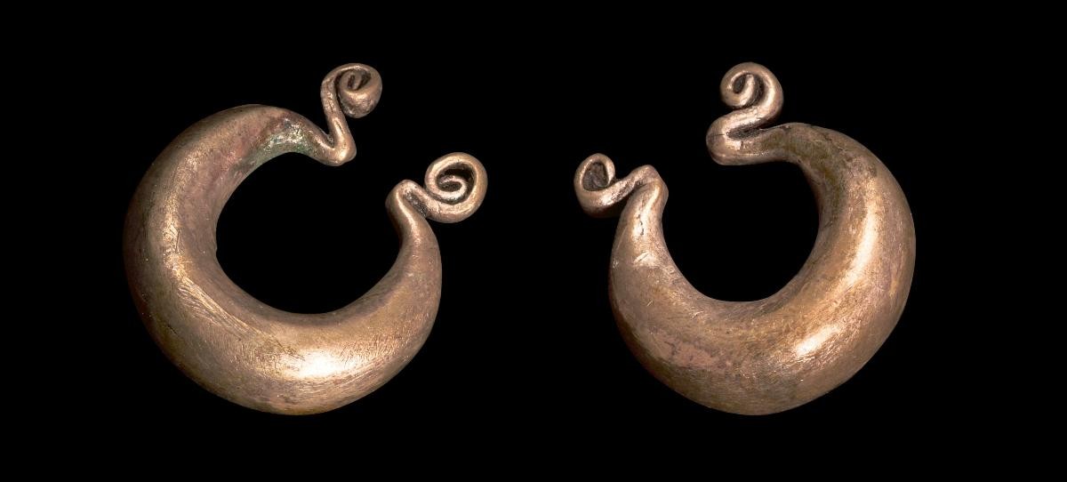 Pair of earrings