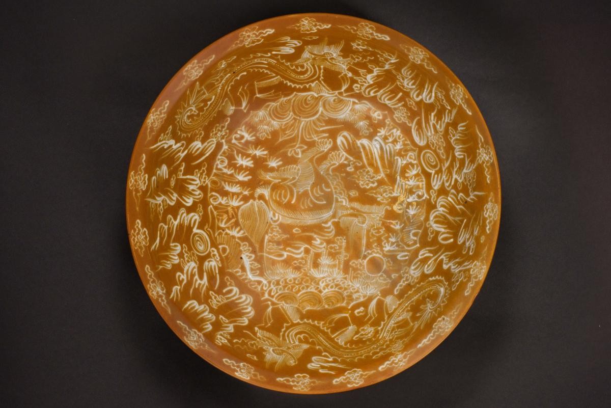 Dish