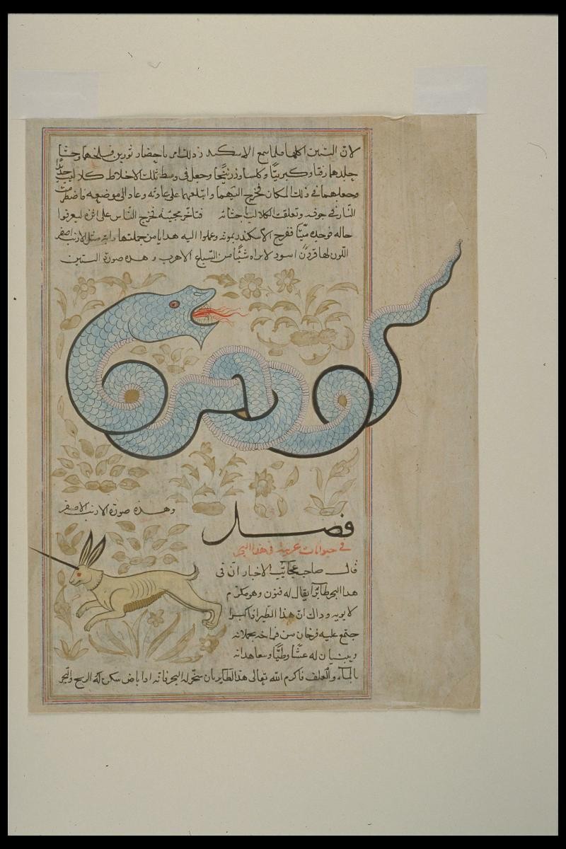 Illuminated leaf from ‘Aja‘ib al-Makhluqat wa Ghara‘ib Maujudat or ‘The Marvels of Things Created and the Wonders of Things Existent