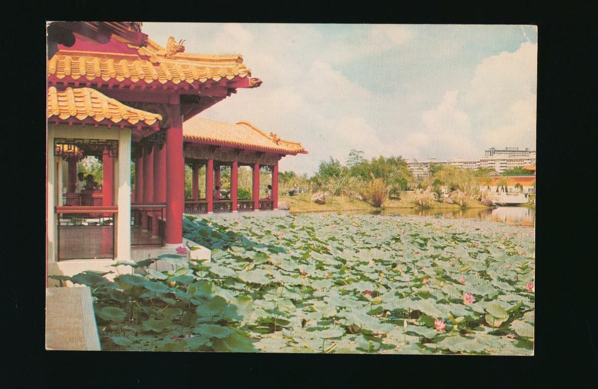 The Garden of Greenery at the Chinese Garden