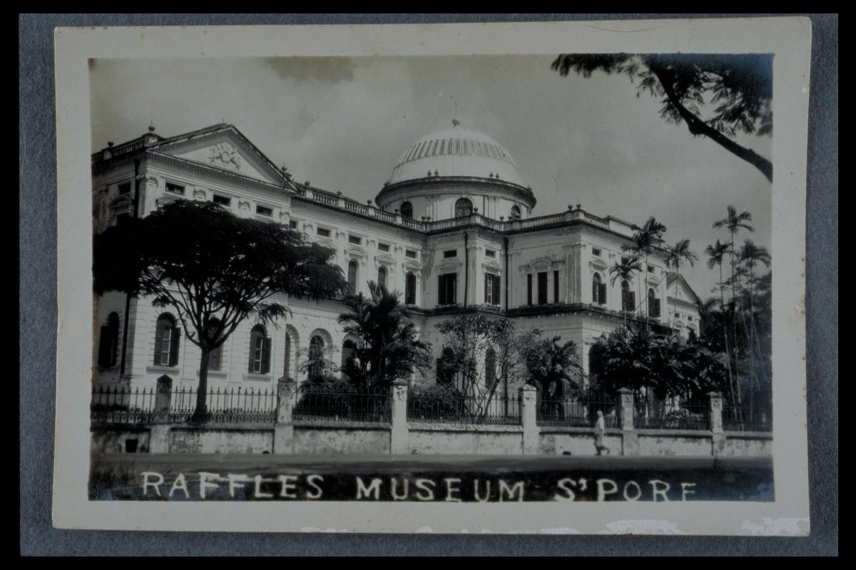 The exterior of the Raffles Library and Museum