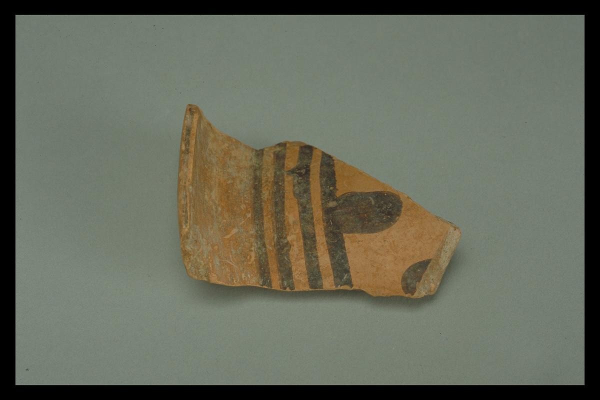 Sherd