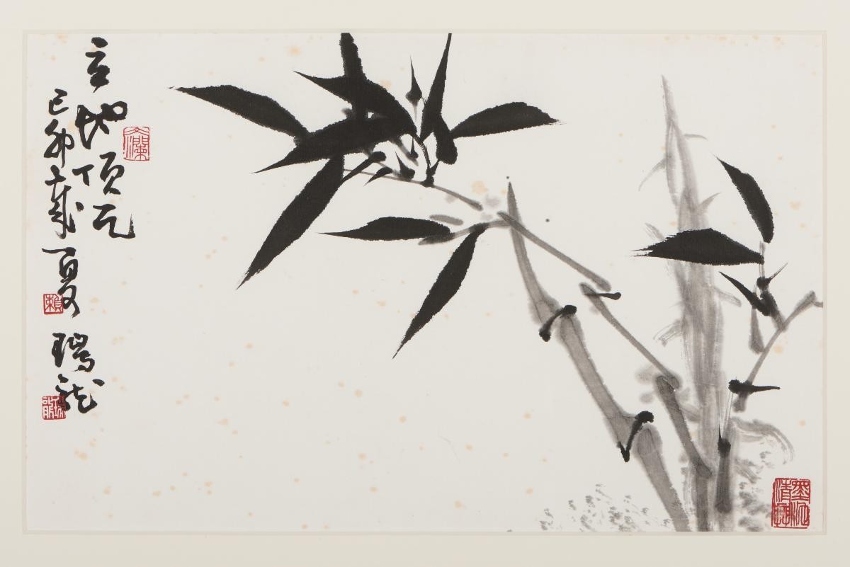 Bamboo