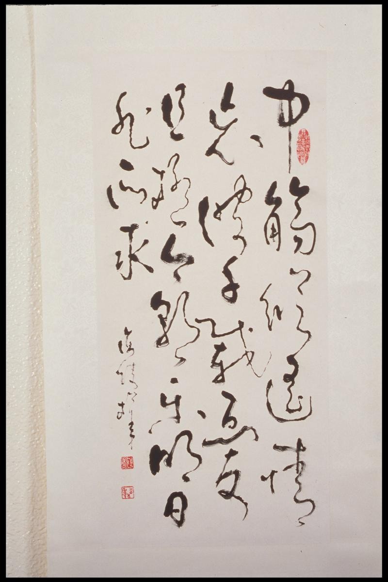 Calligraphy in Wild Cursive Script