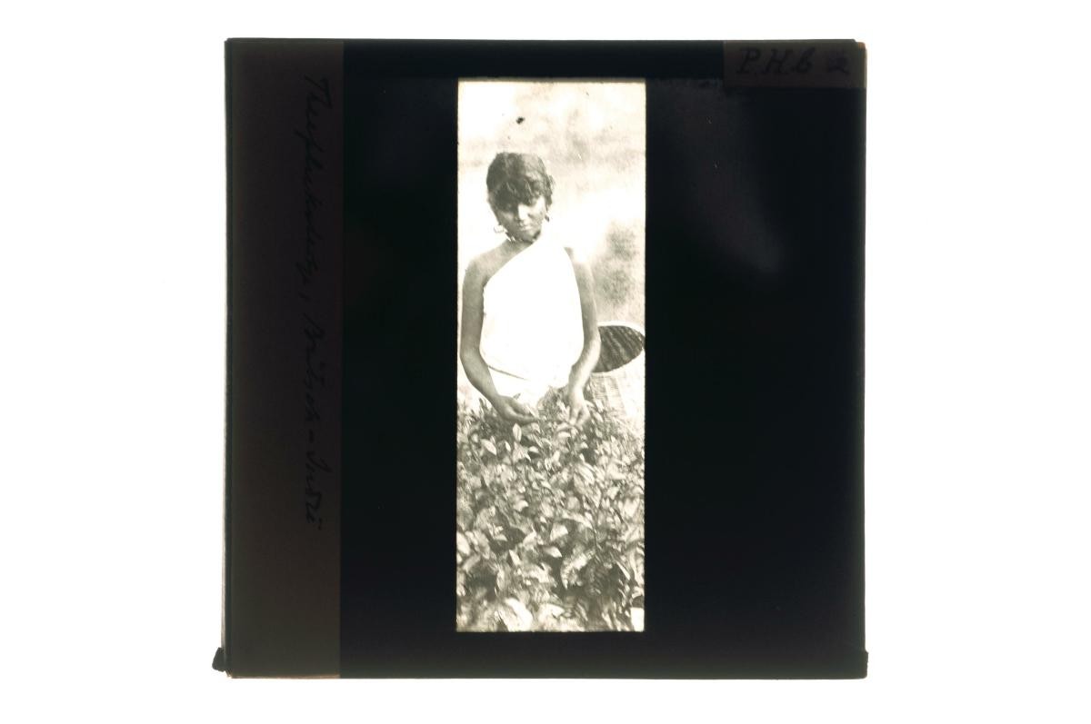 A glass lantern slide depicting a female agricultural worker