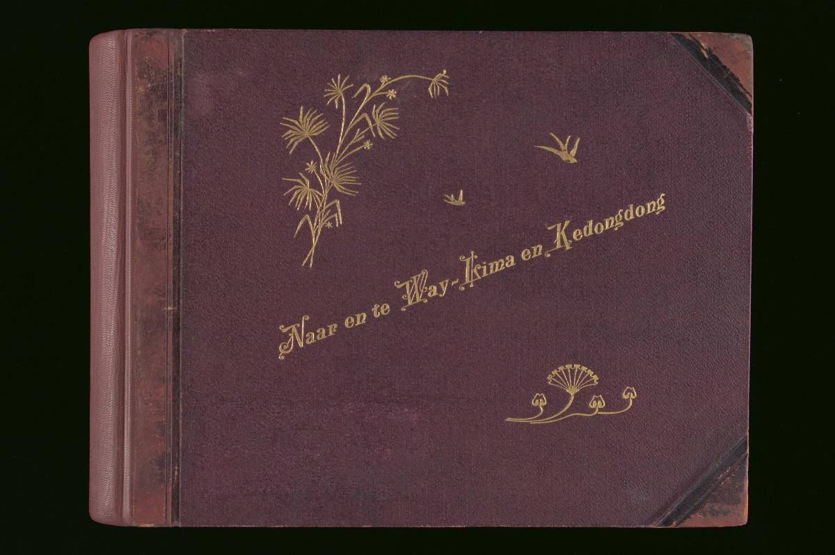 Albumen prints of Sumatra