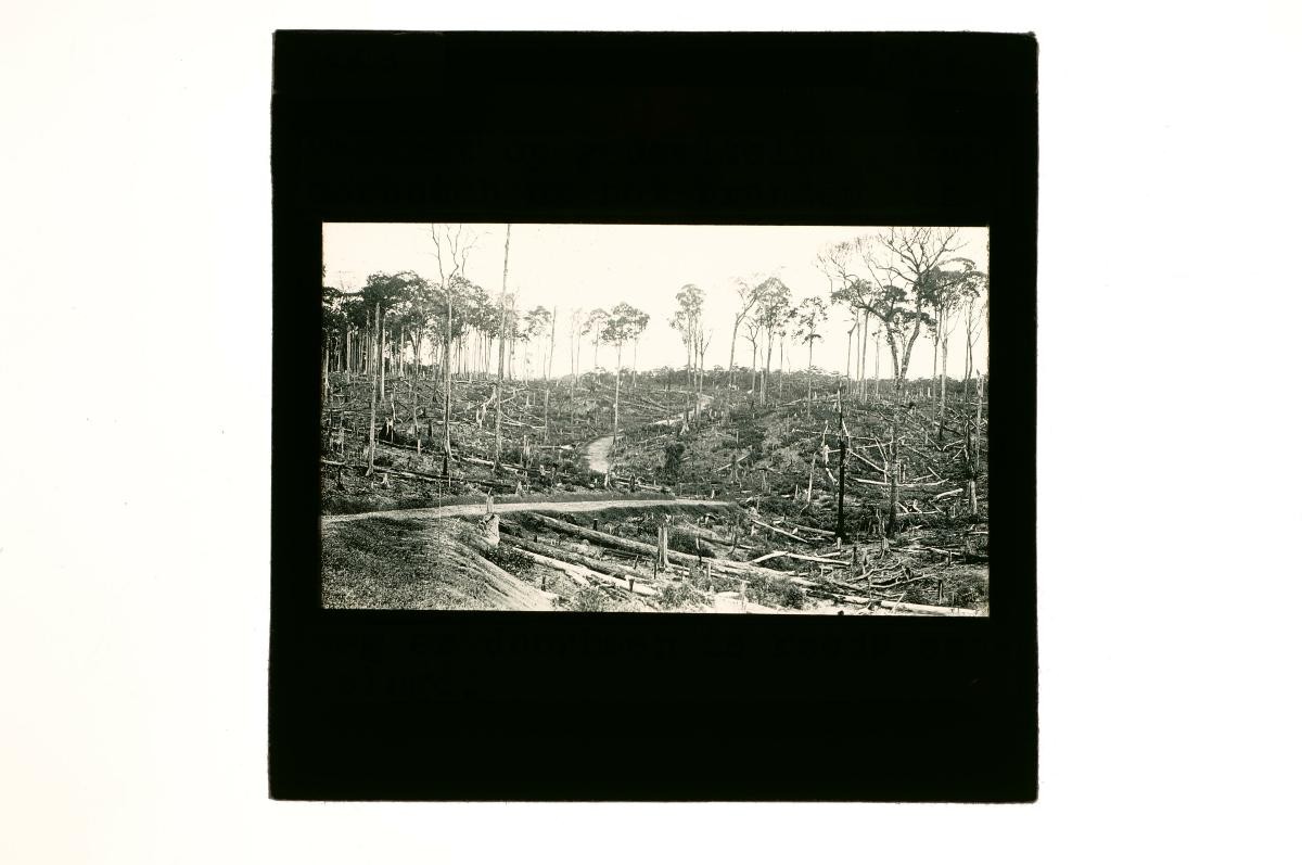 A glass lantern slide depicting a landscape scene