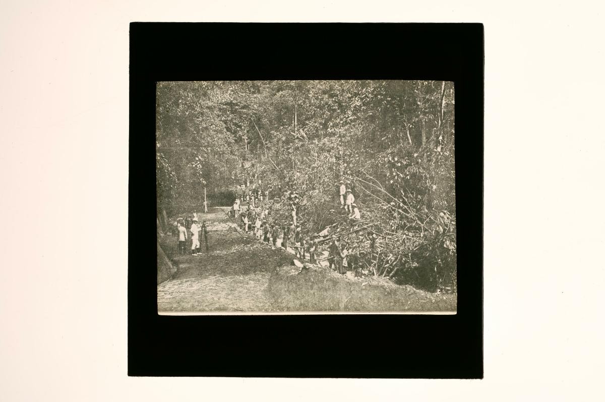 A glass lantern slide depicting a jungle expedition