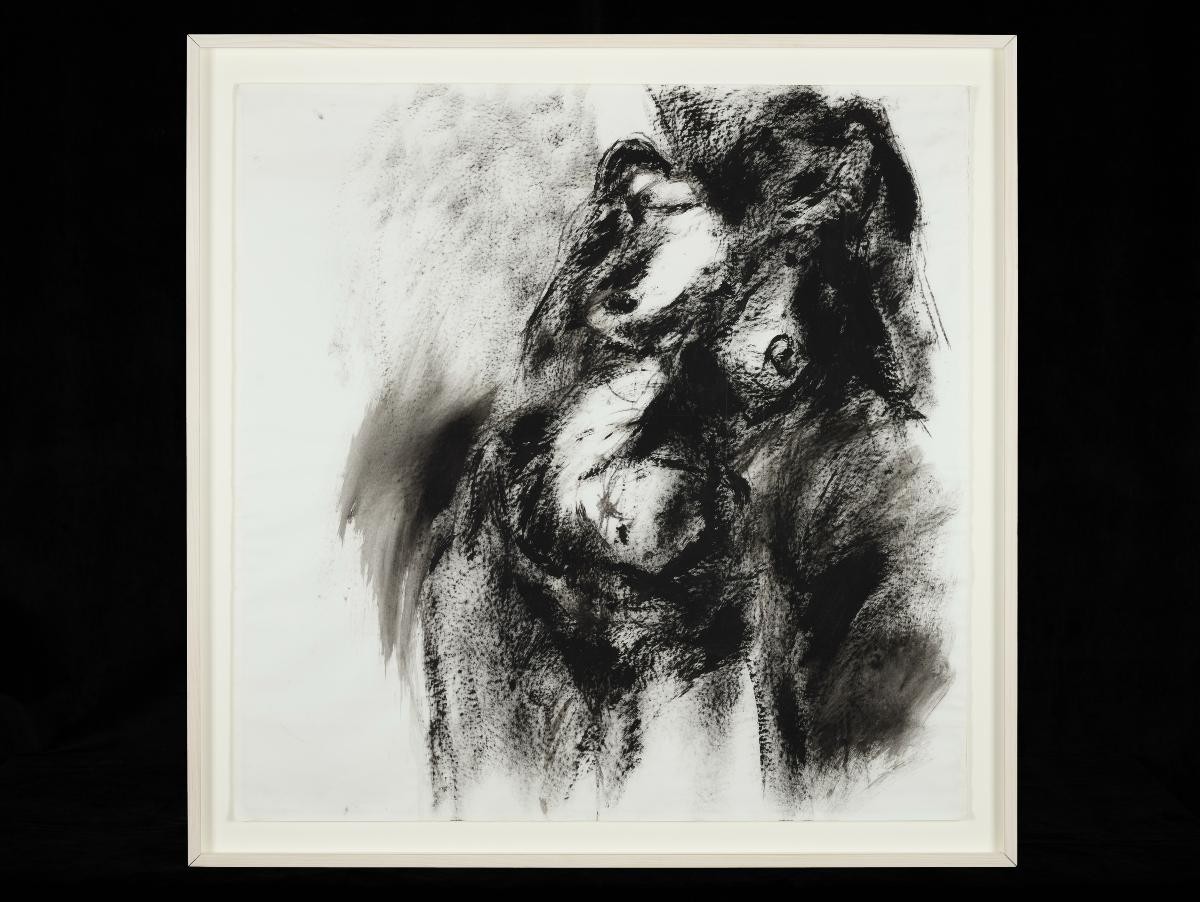 Graphite Drawing on Nude ‘02