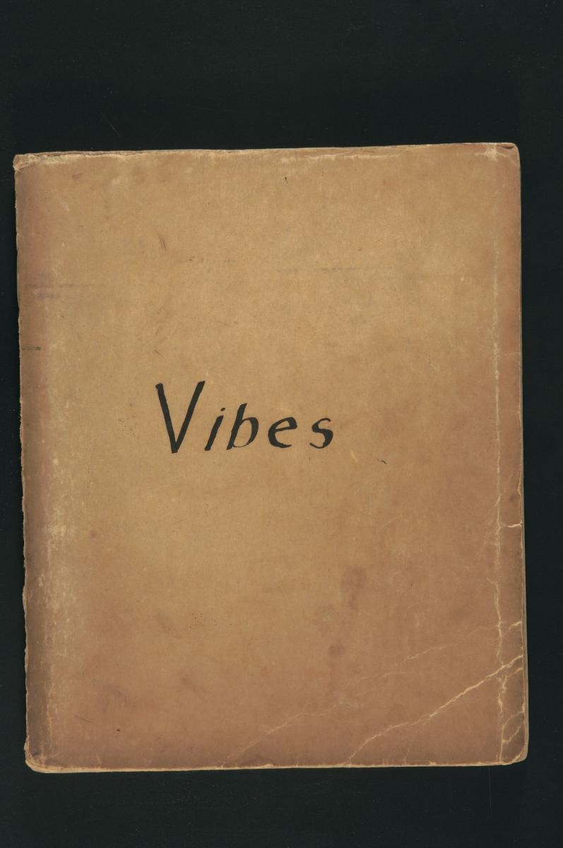 File entitled ‘Vibes’