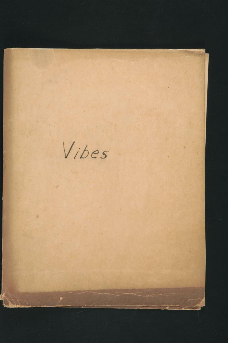 File entitled ‘Vibes’