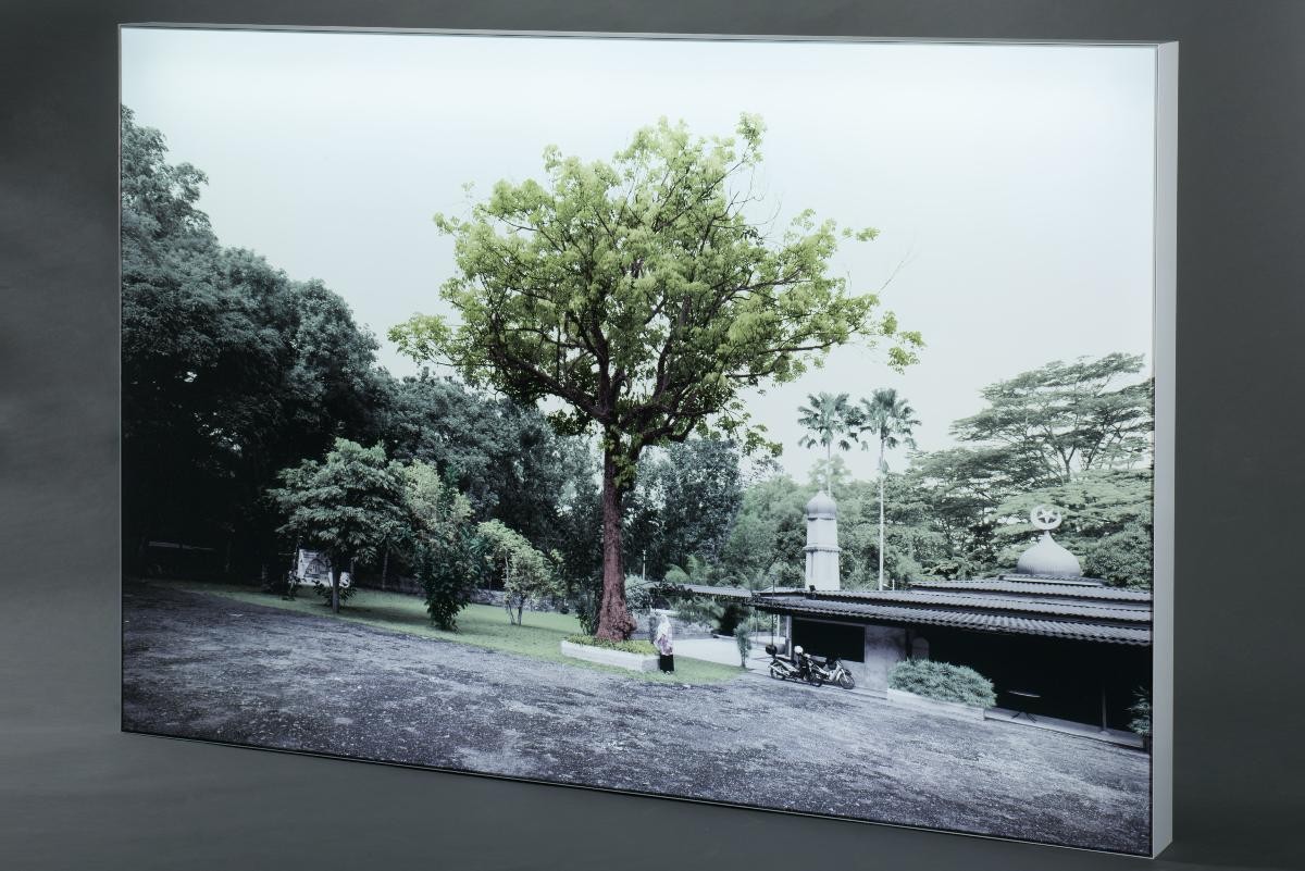 Rubber Tree, Jalan Memburong