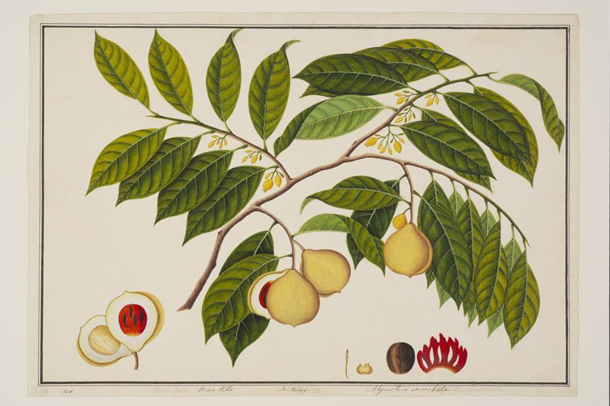 William Farquhar: The First Resident