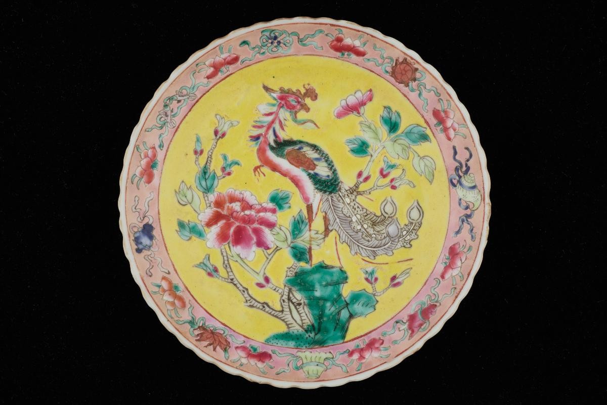 Dish