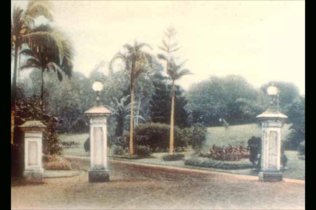 the singapore botanic gardens a living and growing heritage 1