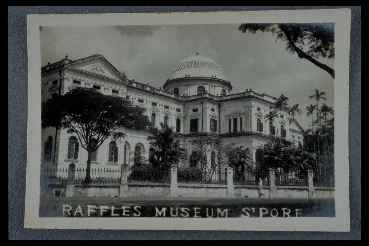 The exterior of Raffles Museum