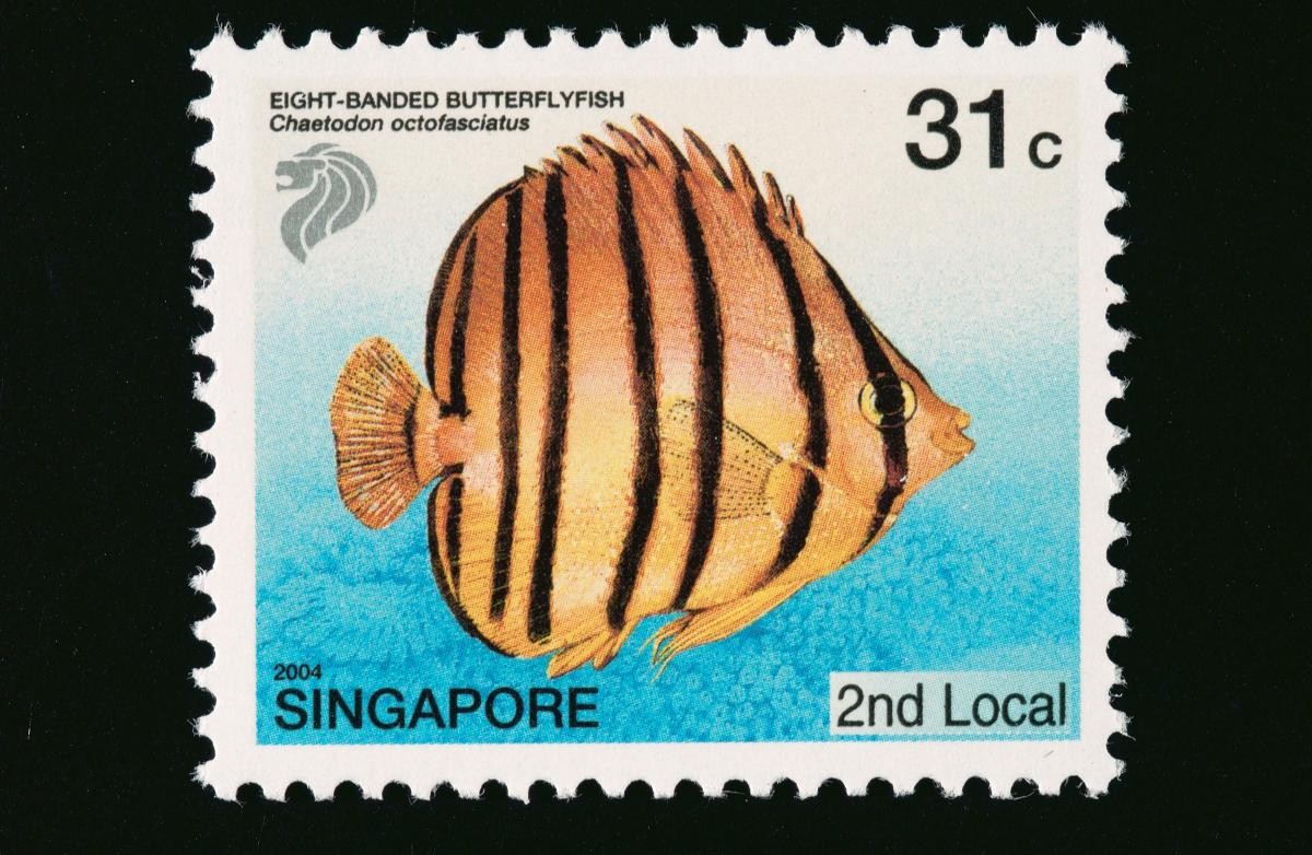 A stamp featuring the Eight-Banded Butterflyfish