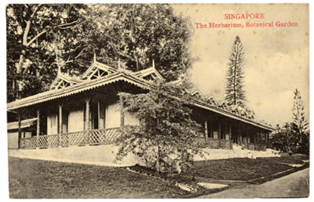 c1930 The Herbarium at Botanical Gardens