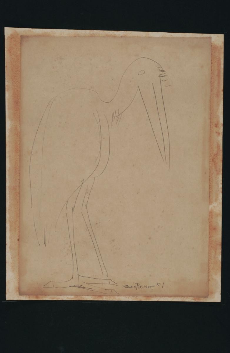Untitled (Pelican)