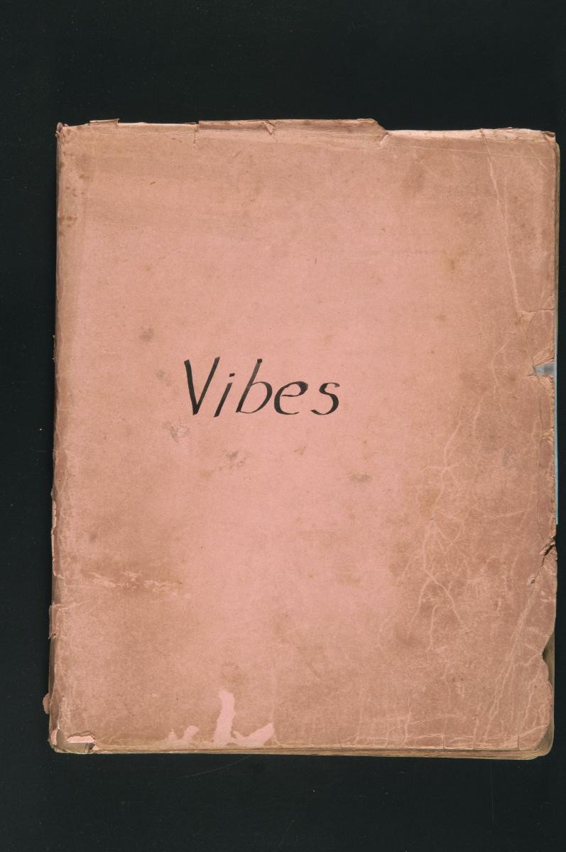 File entitled ‘Vibes’