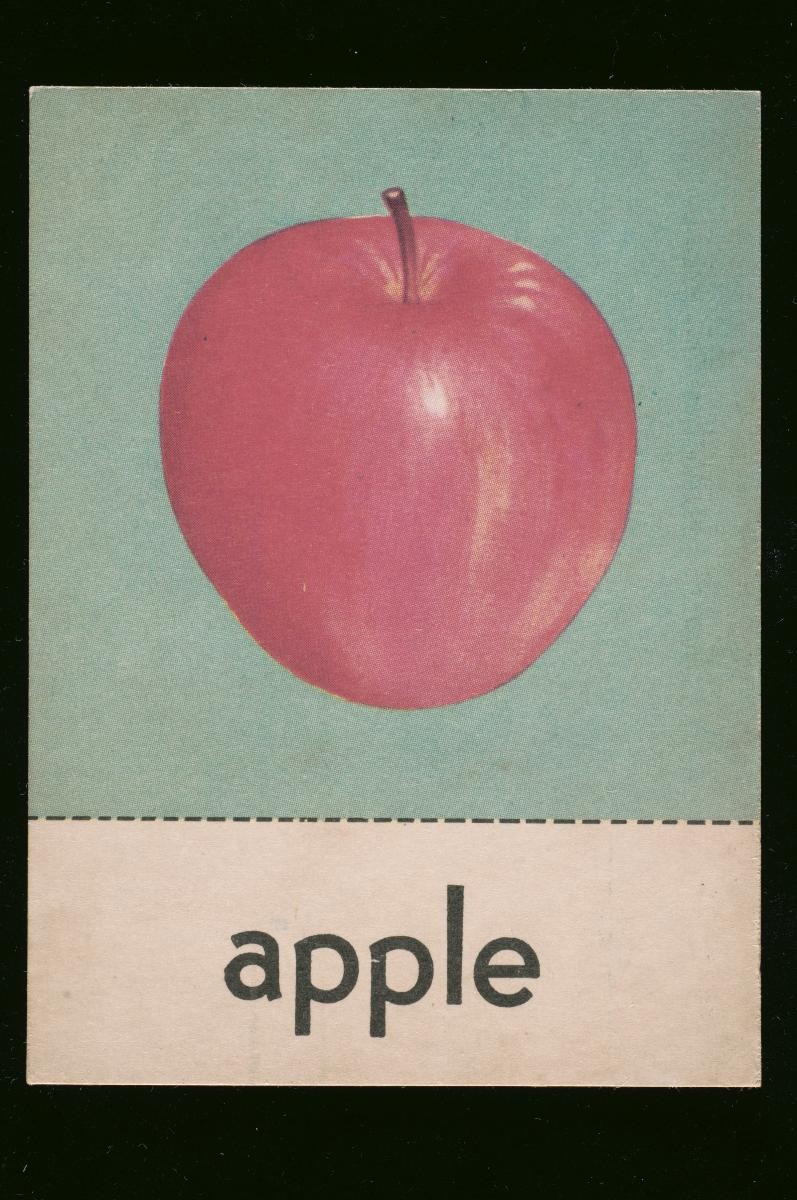 English vocabulary picture cards for children