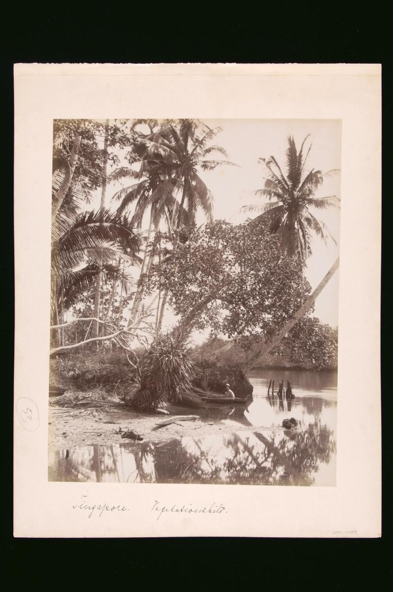 River Scene in Singapore
