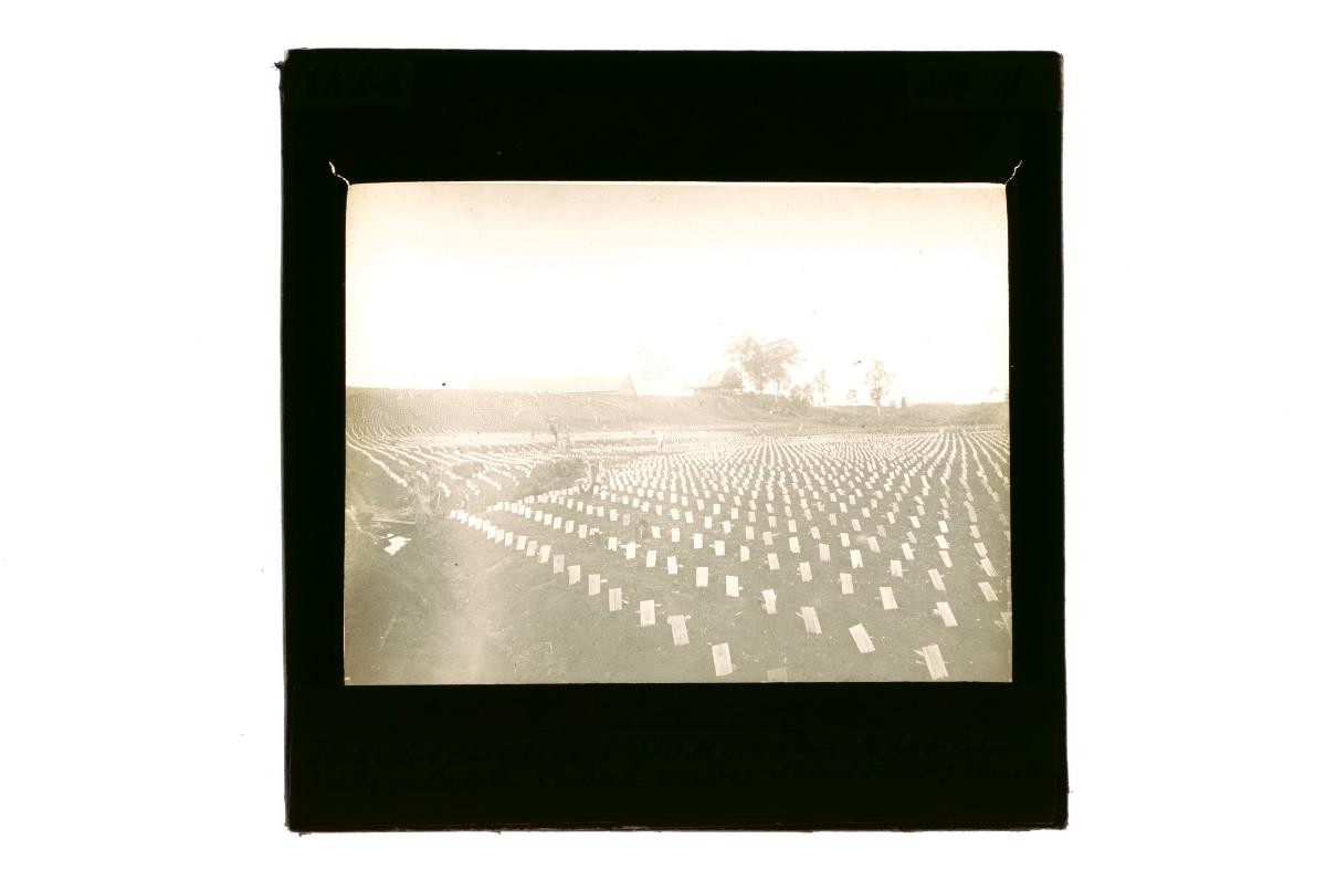 A glass lantern slide depicting a view of a plantation