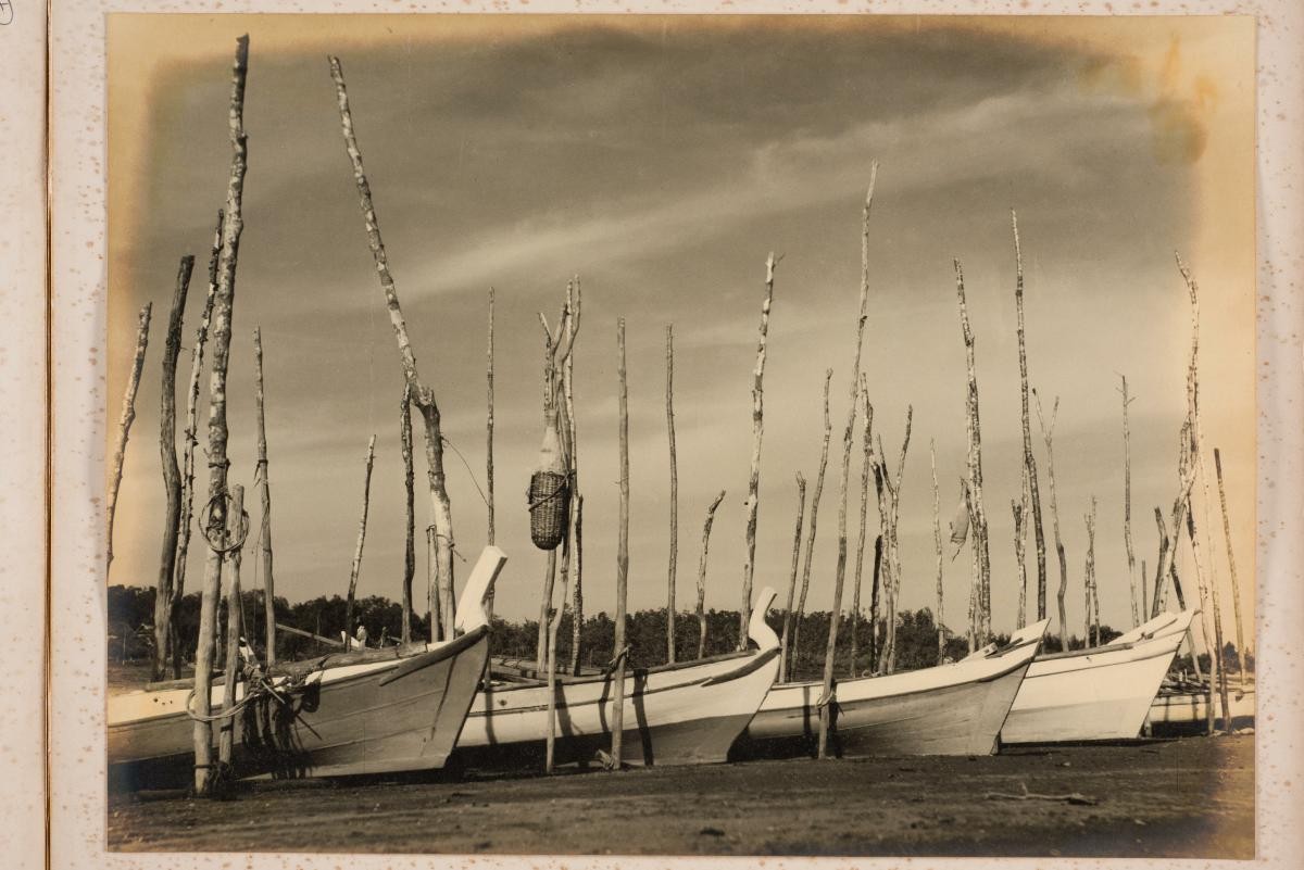 Idling Boats