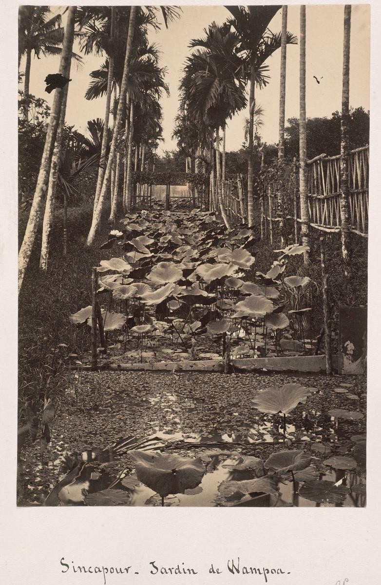 The Whampoa garden