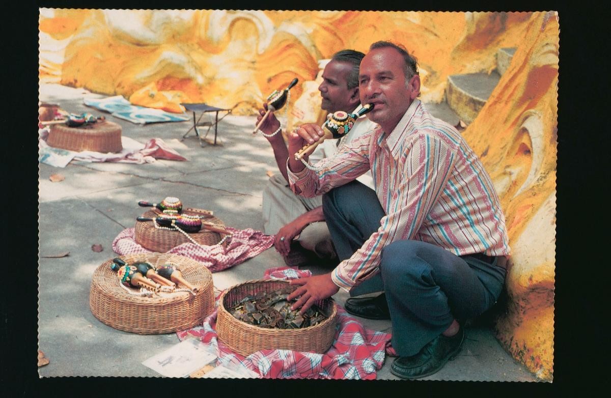 Snake charmers in Little India