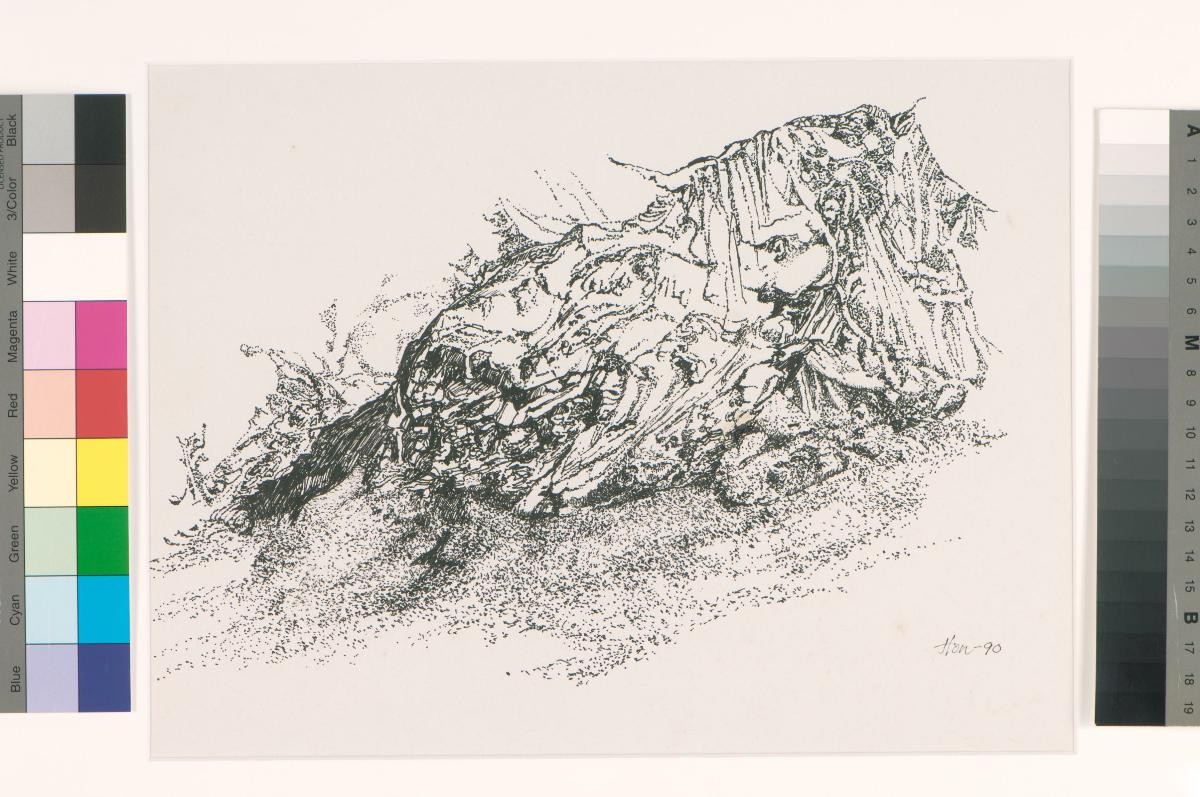 Environment Series: The Litter Bug