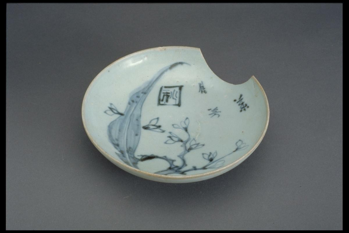 Dish